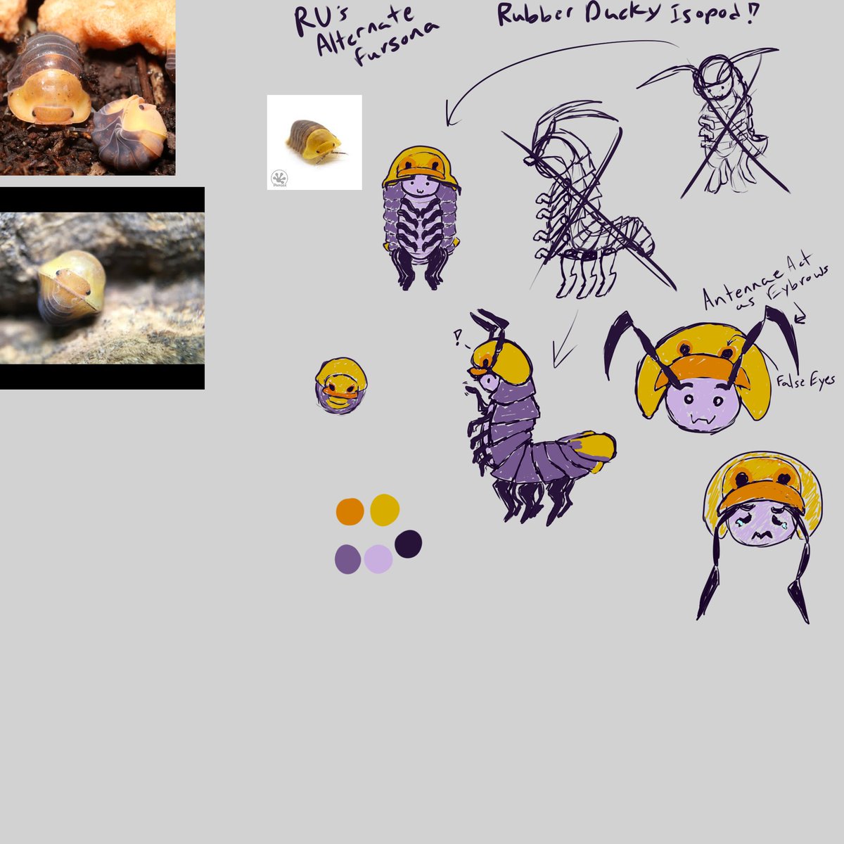 Just a rough sketch for now, but been working on an alternate 'sona than just my cat one. Presenting my Rubber Ducky Isopod 'sona!