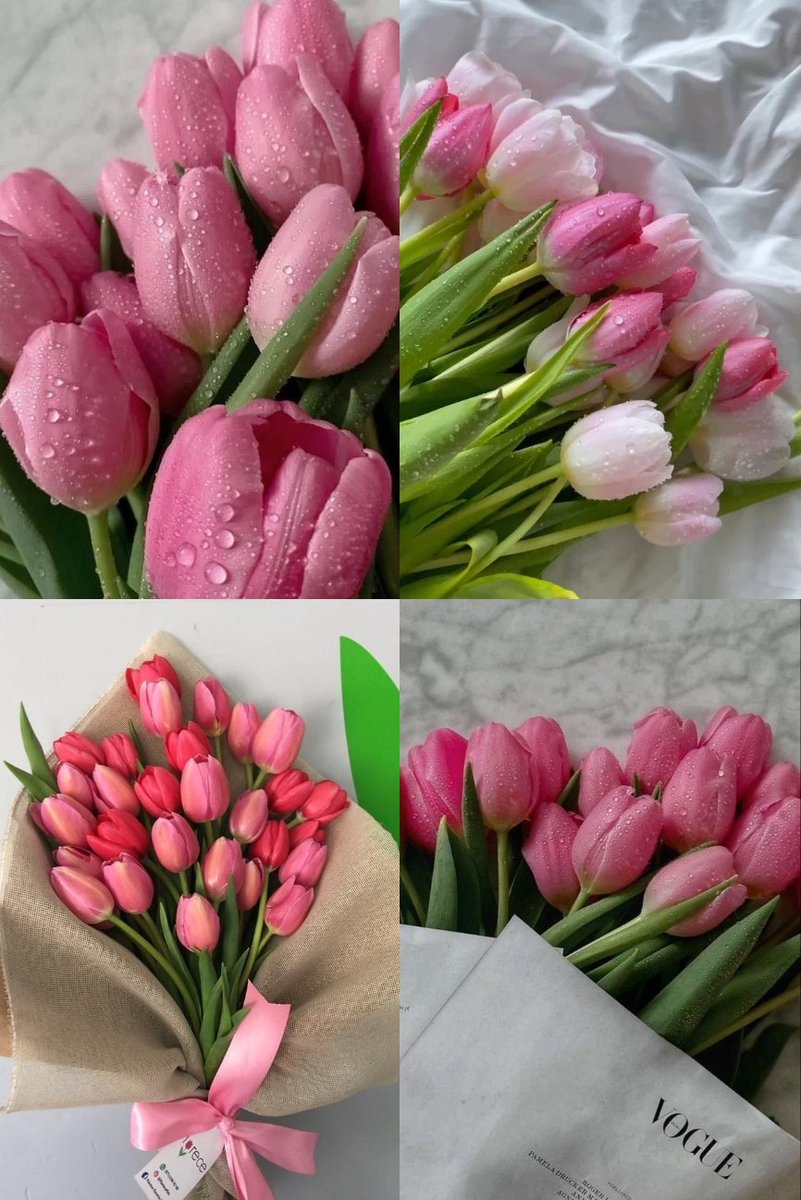 nothingmoment_'s tweet photo. Pink tulips https://t.co/hBBACO3DNj
