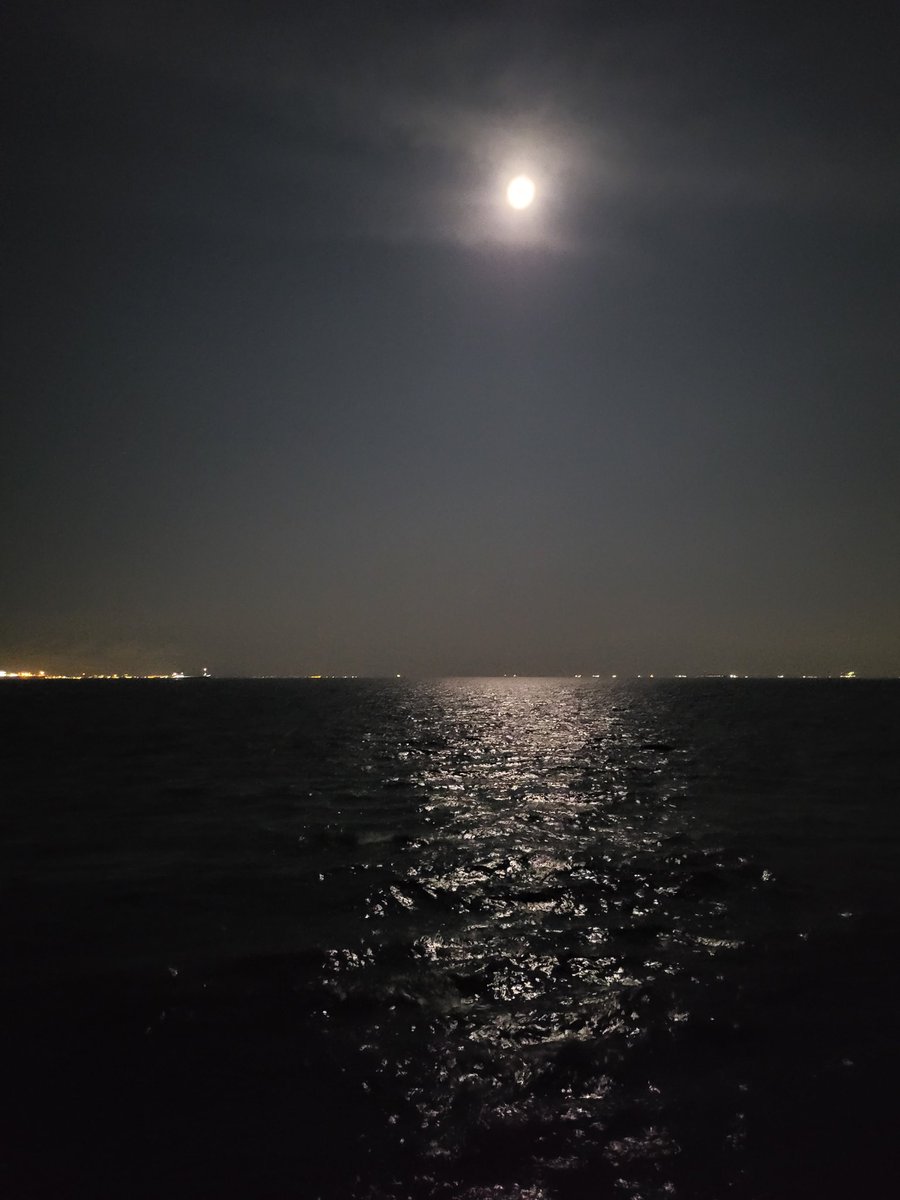 P97Ib's tweet photo. 娘とオールナイト夜釣り🎣
特大アジやら豆アジやらが爆釣で楽しい釣行になりました♪
こんなのに付き合ってくれるのもあと少しだね🥹 https://t.co/doajtREKxV