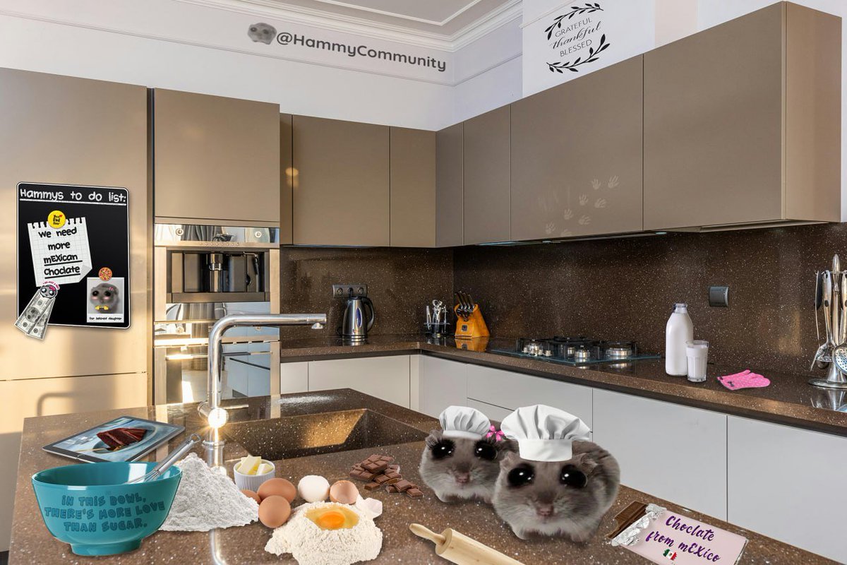 SadHamsterGuru's tweet photo. @nftDavidson Nearly as good as the food hammy cooks https://t.co/uFYkahnaZ8