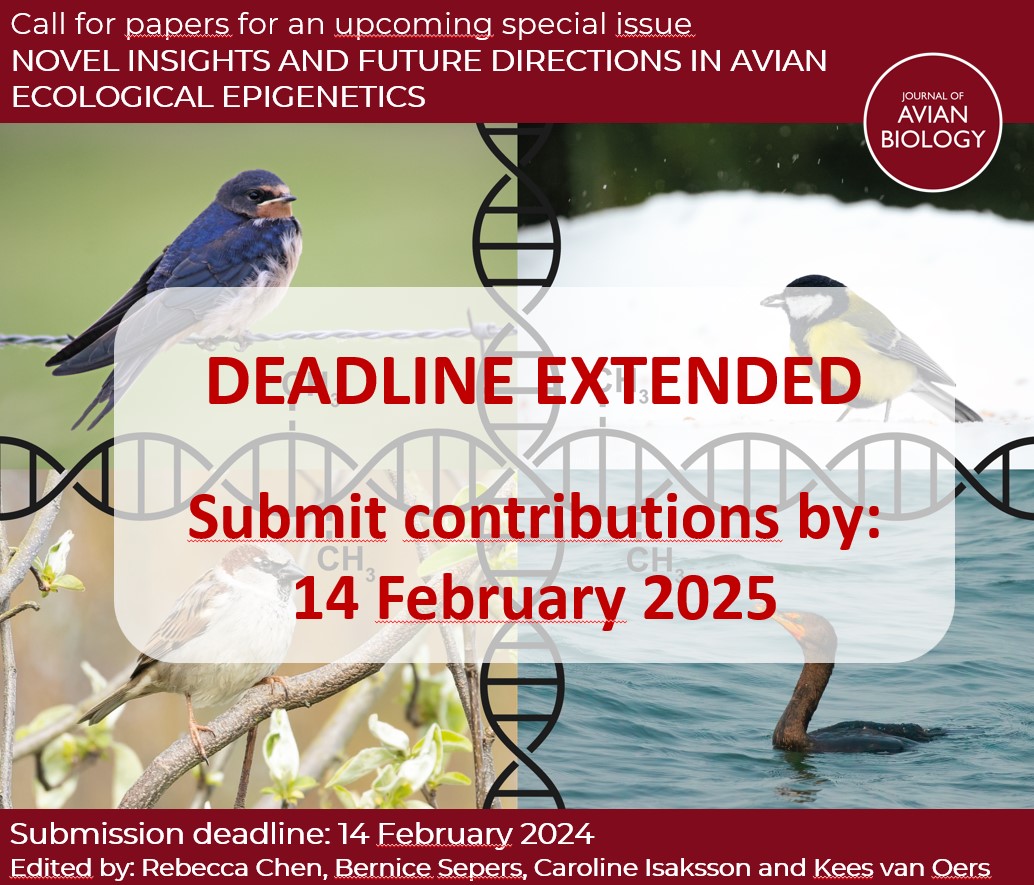 J. of Avian Biology (@avianbiology) on Twitter photo ❗NEW SUBMISSION DEADLINE: 14 February 2025 ❗
Special issue: Novel insights and future directions in avian ecological epigenetics
More info: vist.ly/3fhv6
Editors: <a href="/BerniceSepers/">Bernice Sepers</a> <a href="/rebeccas_chen/">Rebecca Chen</a> <a href="/KvanOers/">Kees van Oers</a> <a href="/CarolineIsak/">Caroline Isaksson</a>
#ornithology #epigenetics ❗NEW SUBMISSION DEADLINE: 14 February 2025 ❗
Special issue: Novel insights and future directions in avian ecological epigenetics
More info: vist.ly/3fhv6
Editors: <a href="/BerniceSepers/">Bernice Sepers</a> <a href="/rebeccas_chen/">Rebecca Chen</a> <a href="/KvanOers/">Kees van Oers</a> <a href="/CarolineIsak/">Caroline Isaksson</a>
#ornithology #epigenetics