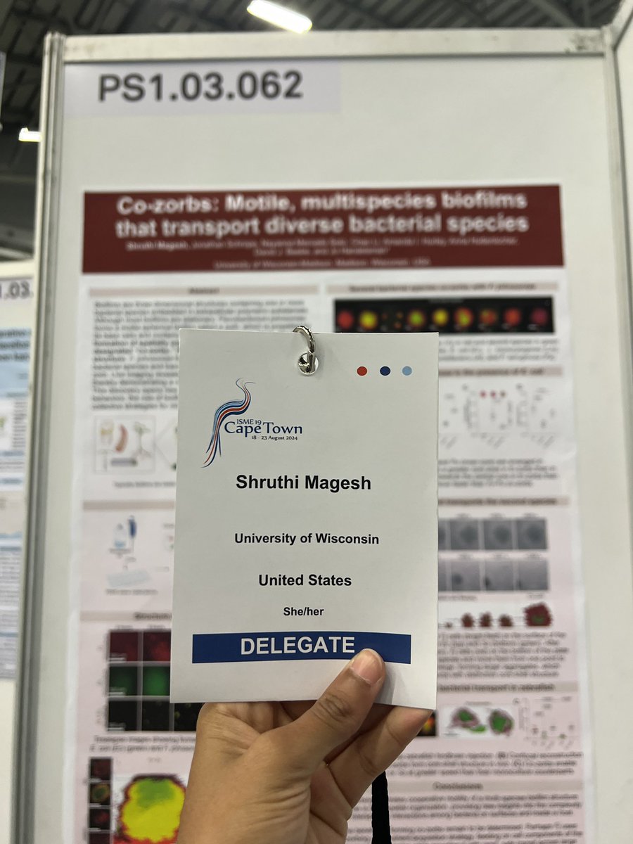 Shruthi Magesh (@mageshshruthi) on Twitter photo All set and ready for the poster session!
Stop by poster: PS1.03.062 at 4:30pm today to learn about multispecies motile biofilms!!
#ISME19 <a href="/ISME_microbes/">ISME - International Society for Microbial Ecology</a> <a href="/UWMadisonMDTP/">Microbiology Doctoral Training Program</a> <a href="/UWMadisonMMI/">UW-Madison MMI</a> All set and ready for the poster session!
Stop by poster: PS1.03.062 at 4:30pm today to learn about multispecies motile biofilms!!
#ISME19 <a href="/ISME_microbes/">ISME - International Society for Microbial Ecology</a> <a href="/UWMadisonMDTP/">Microbiology Doctoral Training Program</a> <a href="/UWMadisonMMI/">UW-Madison MMI</a>