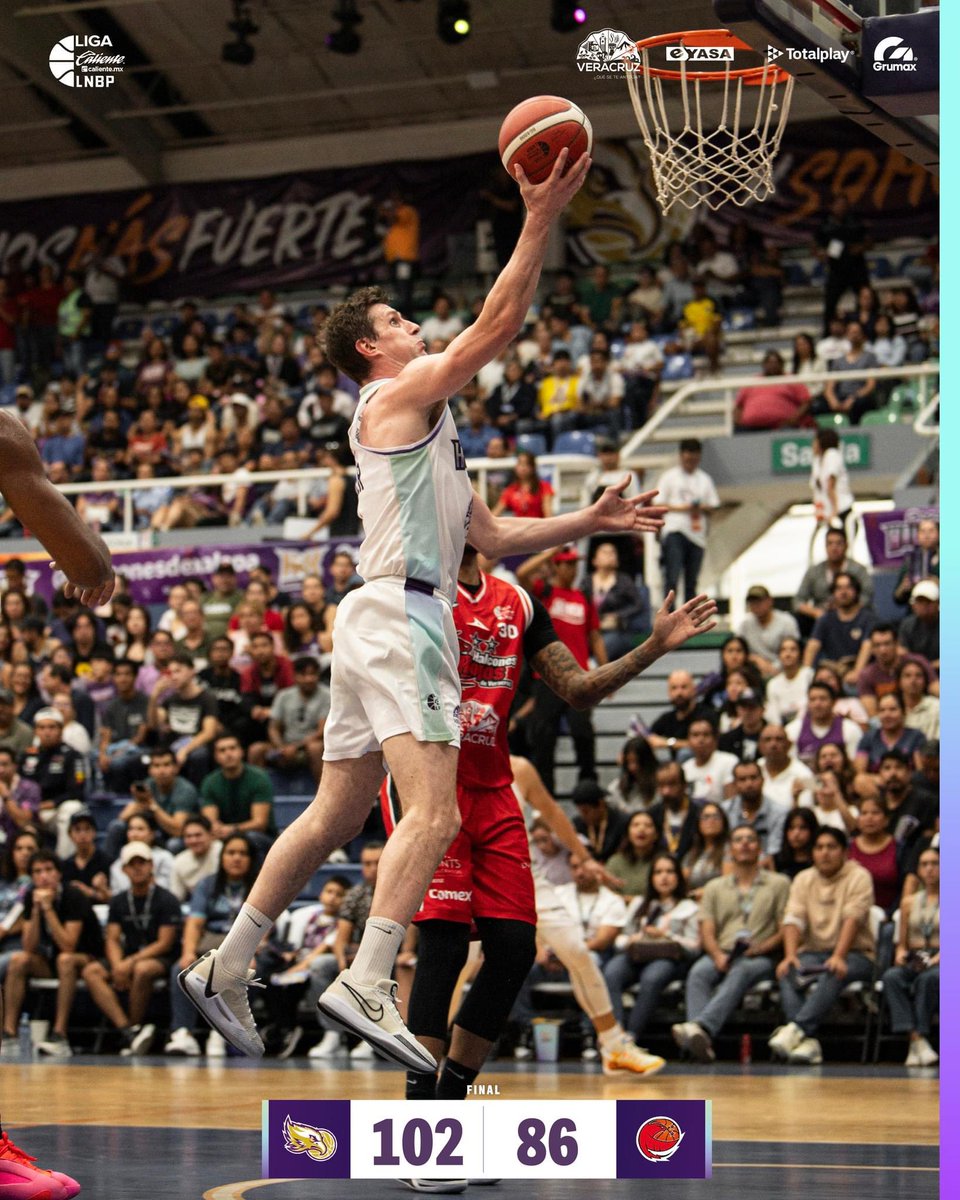 Halcones de Xalapa tweet media