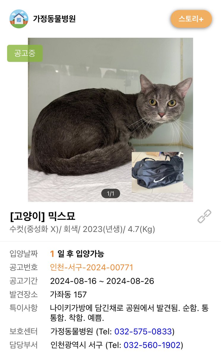 쳐죽일놈아 이날씨에 애를..