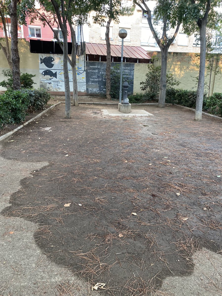 Merii______'s tweet photo. Bon dia @barcelona_010 . Aquesta font del Parc de Can Sabaté (41.3621086, 2.1385514) fa uns dies que té bastanta aigua, no sé di hi ha alguna fuita. Gràcies. https://t.co/1SkFP1IjL1