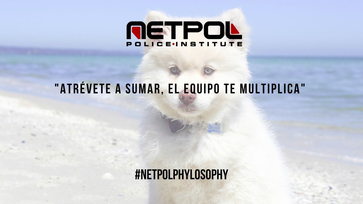 netpol_es's tweet photo. #Gracias #NetpolPhilosophy #CrecimientoPersonal #NoEnMiTurno #NetpolBOOKS #NETPOL #quotesoftheday #FraseDelDia #frasesantimotivacionales #frases #frasesmas #NETPOL #YoMeFormoEnNetpol https://t.co/WVRyHbIECx
