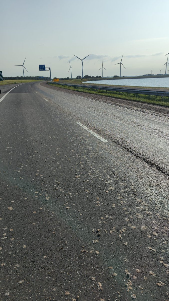 RWSverkeersinfo's tweet image. Op knp. Zurich is de verbindingsweg vanuit de Afsluitdijk (#A7) naar de #N31 richting Harlingen dicht. Een voertuig is een lading schelpen verloren. De hulpdiensten kruipen hiervoor niet in hun schelp en zijn tot het middaguur bezig met opruimen. Verkeer wordt lokaal omgeleid.