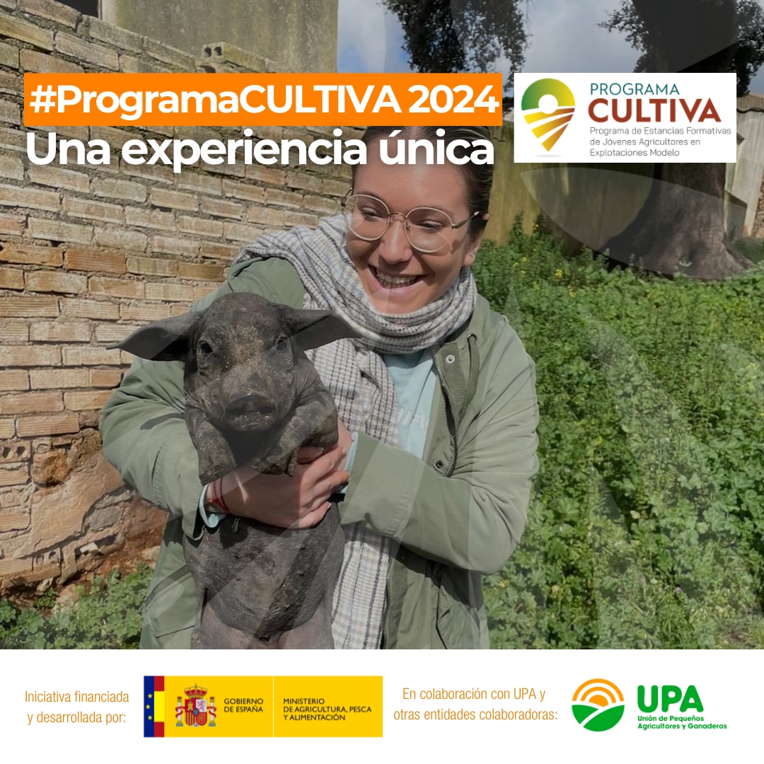 🔜 ¡Ha vuelto el #ProgramaCULTIVA! 🙌

🆙 Si quieres vivir una experiencia única, aprendiendo de otros compañeros de profesión con ➕ experiencia, acude a tu oficina de UPA más cercana y te ayudamos a inscribirte 👉 es.raices.info/programa-culti…