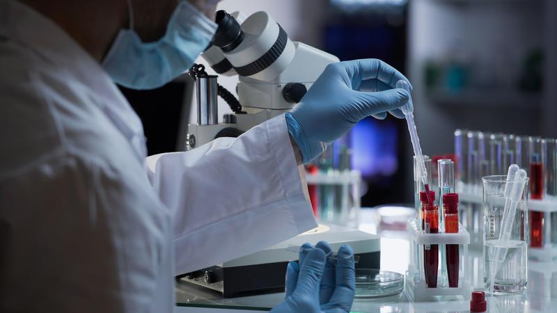 Informationsdienst Wissenschaft - Nachrichten (@idw_online_de) on Twitter photo Neue Studie der Universitätsmedizin Leipzig liefert wichtige Erkenntnisse aus der Grundlagenforschung, die für therapeutische Ansätze der chronischen #Nierenerkrankung dienen könnten. #Medizin #UniLeipzig <a href="/beyondclotting/">Isermann Lab</a>
nachrichten.idw-online.de/2024/08/19/wic… Neue Studie der Universitätsmedizin Leipzig liefert wichtige Erkenntnisse aus der Grundlagenforschung, die für therapeutische Ansätze der chronischen #Nierenerkrankung dienen könnten. #Medizin #UniLeipzig <a href="/beyondclotting/">Isermann Lab</a>
nachrichten.idw-online.de/2024/08/19/wic…