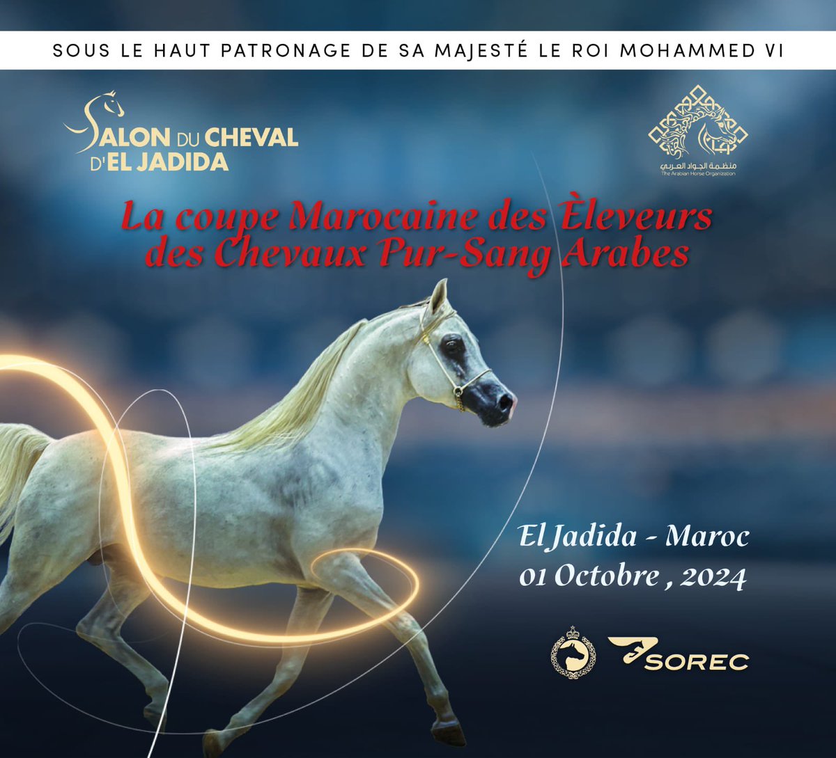 منظمة الجواد العربي (@arabianhorseorg) on Twitter photo 