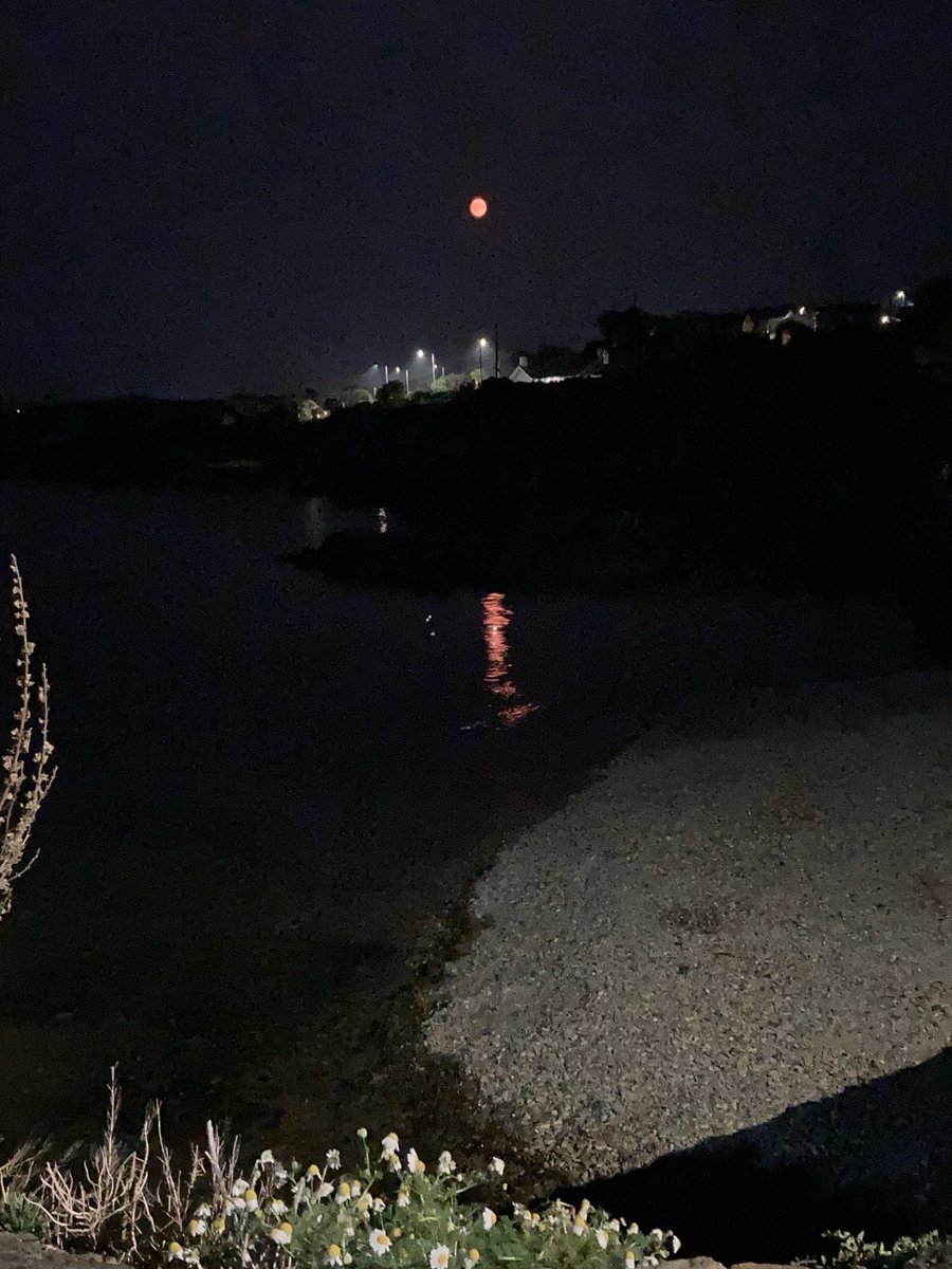 cericcyp's tweet photo. (Nearly) full moon over Bull Bay last night 🧡 https://t.co/0elluEBO7A