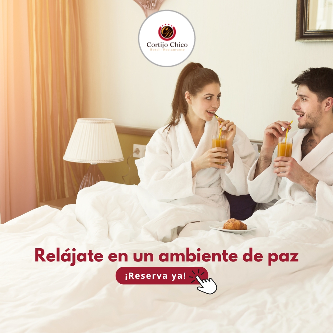 HCortijoChico's tweet photo. Nuestras habitaciones ofrecen un servicio completo para que vivas la mejor experiencia posible. Entre ellos, baño completo con secador de pelo, climatización Frío-Calor, tv de Plasma con Canales Internacionales y Canal +, servicio de habitaciones, servicio de lavandería... https://t.co/wvgrigeG1x