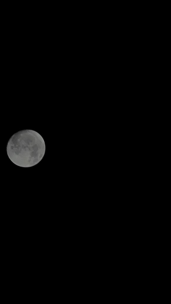 Danny__hi's tweet photo. 🌑🌕 https://t.co/gf93QDRefL