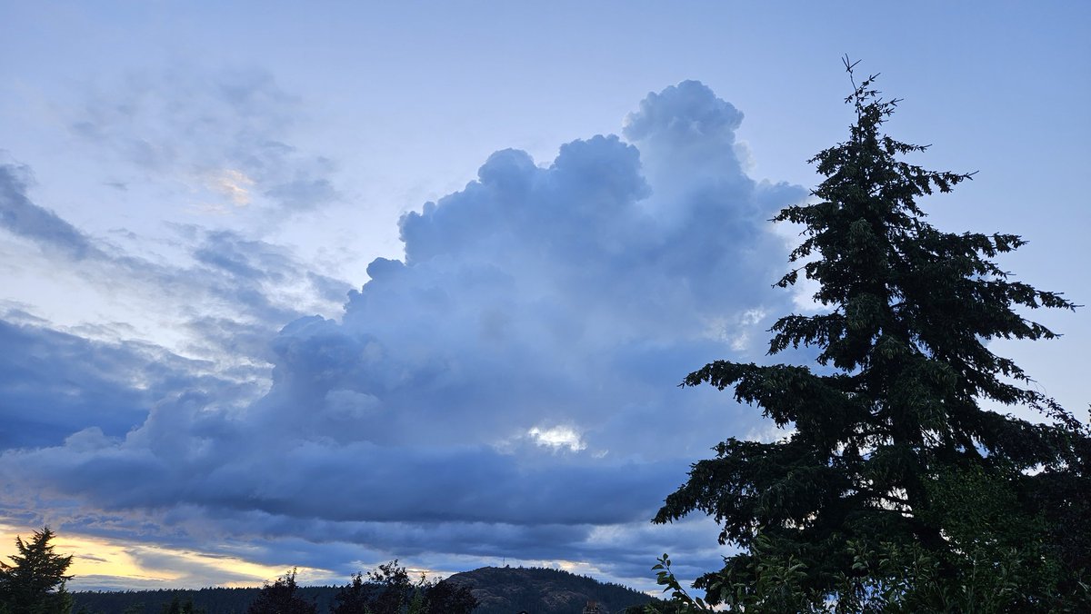 akinvic's tweet photo. Evening cumulus formation over Victoria. A lot quieter today but still had some earlier action! https://t.co/IIV5HlBcTG