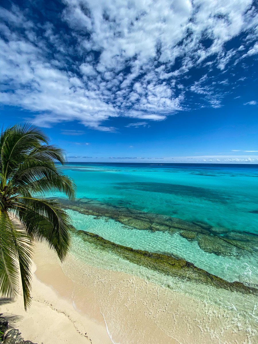 MecoRight's tweet image. Taking Scenery Photos with Mobile Phones Requires This.
The polarizing filter can eliminate or reduce the strong reflection on non-metallic surfaces, improve the quality of photos.
#cplfilter #polarizer #sceneryfilter #mobilephonephotography #mobilephoneshooting