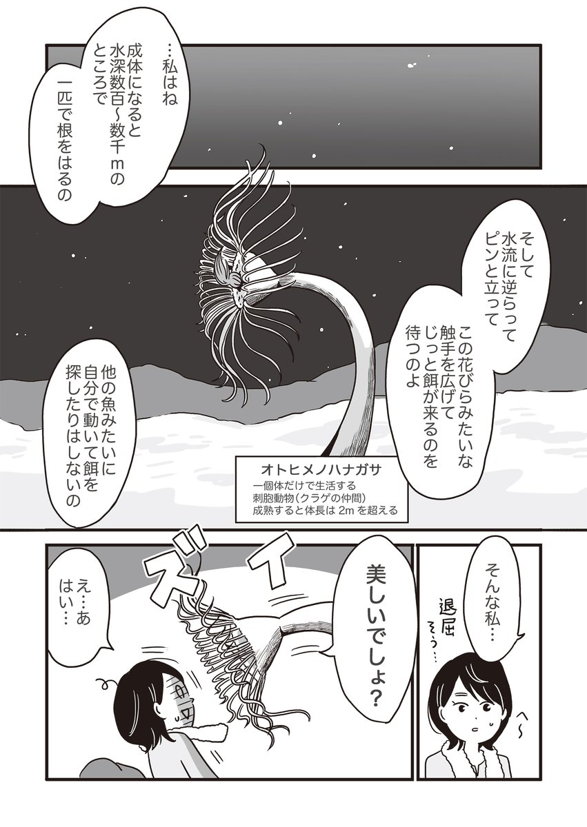 (5/6) 