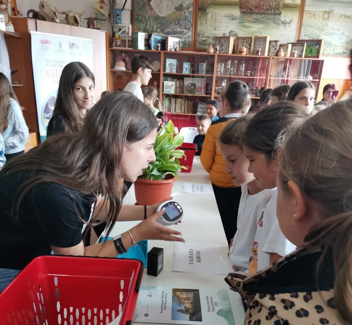 Daniela Bunea tweet media