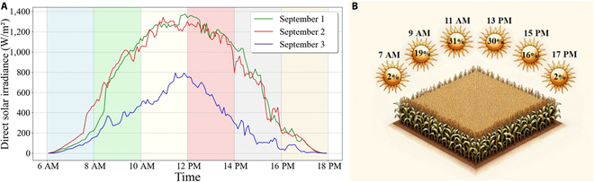 PPhenomics's tweet image. We introduce a 3D maize modeling method using computational intelligence to optimize light interception, enhancing resource utilization in crop canopies. #3DCropModeling #ComputationalIntelligence #PlantModeling
Details: spj.science.org/doi/10.34133/p…