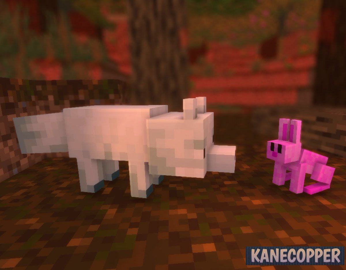 Kanecopper's tweet photo. The fox is hungry but not the food 🤤🍽️😋
Pink Rabbit : @pinkeanimes
Fox : @Kaneefox

https://t.co/bcu978rAfw https://t.co/Ybeh2t0K1t