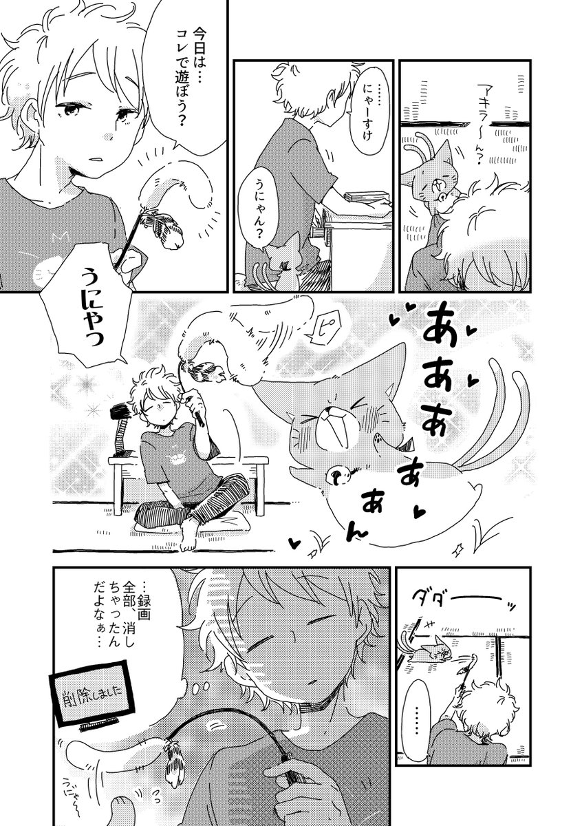小さな猫またと少年が出会った話。35・36話(1/2)【過去作】  #漫画が読めるハッシュタグ #うちのねこマタ 