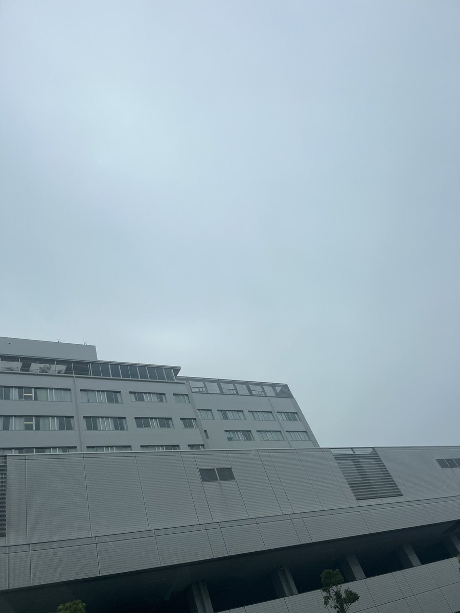 kfw_8's tweet photo. 今日二回目の
アブレーション後

半年の検診
ホルター心電図付けます

また来週有るのですが
今日明日と
ホルター心電図装着

体調は扁桃腺以外は

順調に推移しています

半年検査次第で
色々と行動に移します

さて
行ってきます〜 https://t.co/wDTFD4yKVA