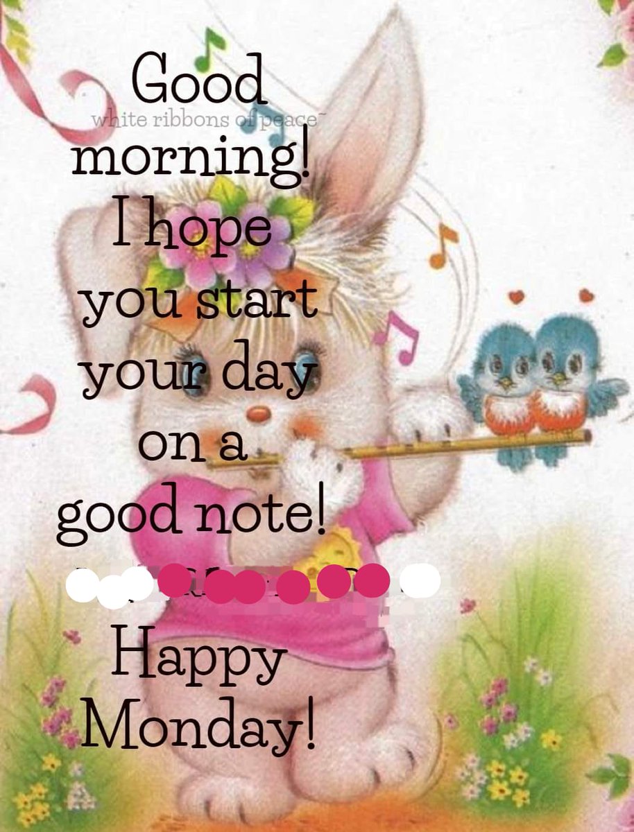 🌺Good morning! I hope you start your day on a good note! Happy Monday!  🌺🍃 💗💙🦋🐞💫 🎼 🦜💜🌟🌸, image size:914x1200
