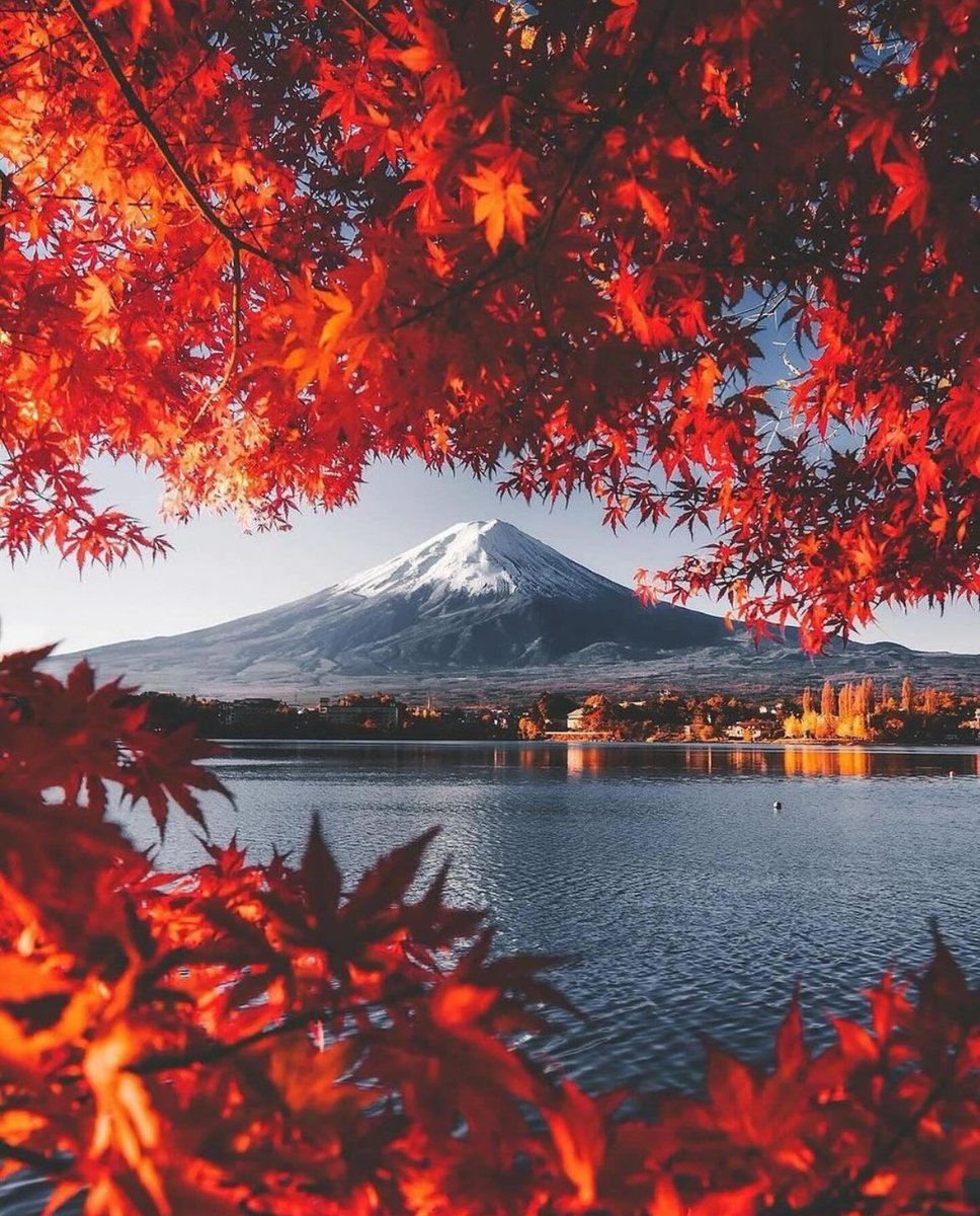 the_gpc_'s tweet photo. Photographers show us your best nature/landscape shots 📸 https://t.co/OUBu0YnsEz