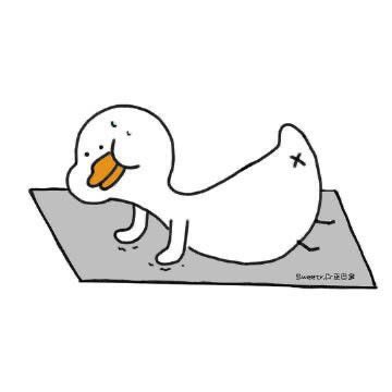 Kun🦝🌲 tweet media