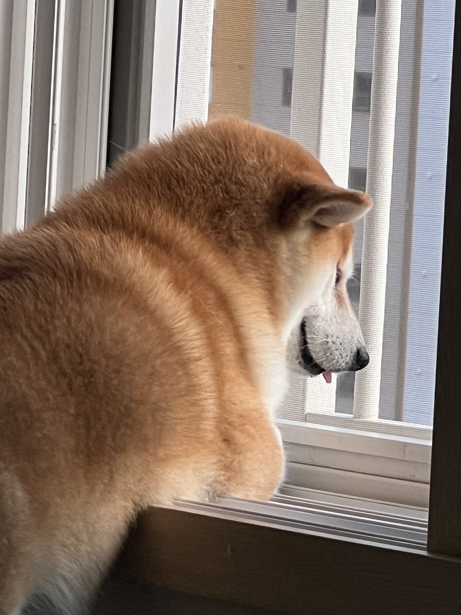 가을이 오려나보다
여름엔 더워서 안 올라가더니 이제 좀 바람이 시원한가봐