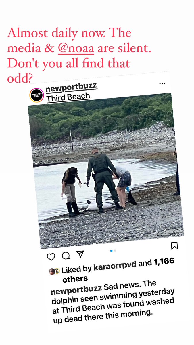 TheStonesEG's tweet photo. @PeterNeronha @SenWhitehouse Is this parody? He should probably rethink the clambake moving forward. Yikes. #MarineMurder #SenatorSlaughter @SenateBudget @SenWhitehouse https://t.co/3jB9zaPkni
