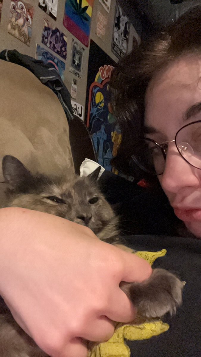 rirqka's tweet photo. life as of late https://t.co/ifHL5KEAKn
