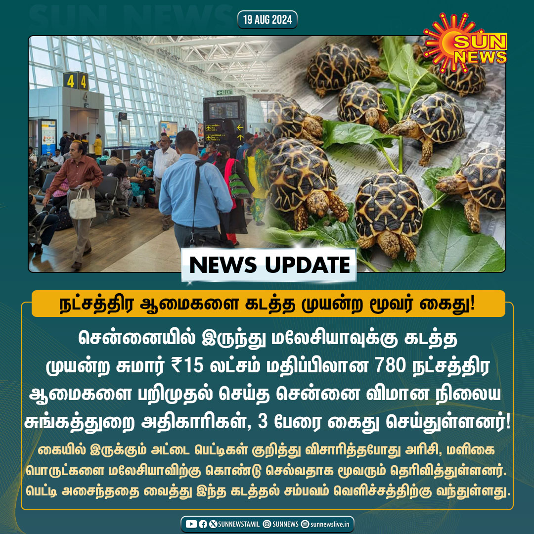 sunnewstamil's tweet photo. #NewsUpdate | சென்னை விமான நிலையத்தில் நட்சத்திர ஆமைகள் பறிமுதல் - 3 பேர் கைது!

#SunNews | #ChennaiAirport | #StarTortoise https://t.co/QCcAGkO7mM