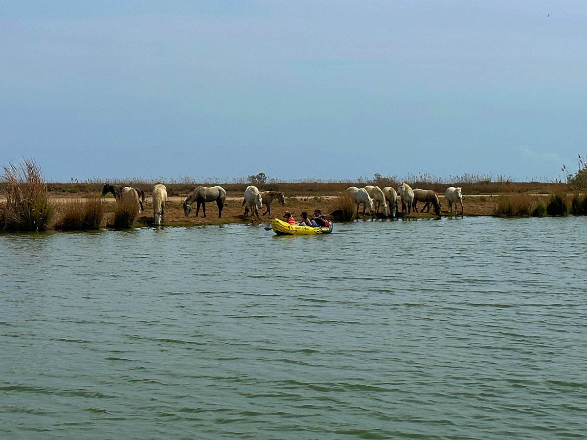 NÀUTIC PARC COSTA DAURADA I TERRES DE L'EBRE (@nauticparc) on Twitter photo En kayak por el Ebro, una experiencia única que explica @diaridetarragona
diaridetarragona.com/turismo/en-kay…
<a href="/lampollaturisme/">ampollaturisme</a> <a href="/TurismeDeltebre/">Descobreix Deltebre</a> <a href="/costadauradatur/">Costa Daurada</a> <a href="/terresebretur/">Terres de l'Ebre</a> <a href="/visitsalou/">VisitSalou</a> <a href="/MontroigMiami/">Mont-roig Miami</a> <a href="/ametllademartur/">L'Ametlla de Mar Tur</a> <a href="/Mar_i_Muntanya/">L’Hospitalet de l’Infant i la Vall de Llors</a> <a href="/CambrilsTurisme/">Cambrils Turisme</a> En kayak por el Ebro, una experiencia única que explica @diaridetarragona
diaridetarragona.com/turismo/en-kay…
<a href="/lampollaturisme/">ampollaturisme</a> <a href="/TurismeDeltebre/">Descobreix Deltebre</a> <a href="/costadauradatur/">Costa Daurada</a> <a href="/terresebretur/">Terres de l'Ebre</a> <a href="/visitsalou/">VisitSalou</a> <a href="/MontroigMiami/">Mont-roig Miami</a> <a href="/ametllademartur/">L'Ametlla de Mar Tur</a> <a href="/Mar_i_Muntanya/">L’Hospitalet de l’Infant i la Vall de Llors</a> <a href="/CambrilsTurisme/">Cambrils Turisme</a>