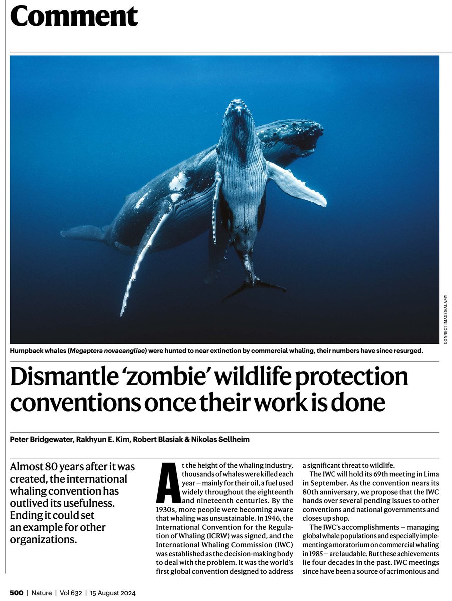 Rakhyun E. Kim (@rakhyunkim) on Twitter photo A growing number of environmental institutions are “zombies”—done with their job, yet persisting for own survival. They create illusions and block more relevant institutions. It’s time for them to exit with dignity. <a href="/IWC_int/">International Whaling Commission</a> could set an example.
<a href="/Nature/">nature</a>: doi.org/10.1038/d41586… A growing number of environmental institutions are “zombies”—done with their job, yet persisting for own survival. They create illusions and block more relevant institutions. It’s time for them to exit with dignity. <a href="/IWC_int/">International Whaling Commission</a> could set an example.
<a href="/Nature/">nature</a>: doi.org/10.1038/d41586…