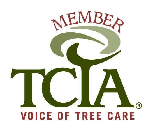HillTreeCare's tweet photo. We are proud to announce that Hill Tree Care has once again become members of The Tree Care Industry Association (TCIA). 

We are dedicated to staying up to date with the latest safe working practices and new methods. https://t.co/3Ef7TGullP