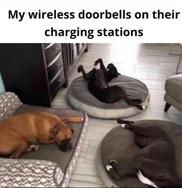 Alaskan Tequila (@ltequila4) on Twitter photo 