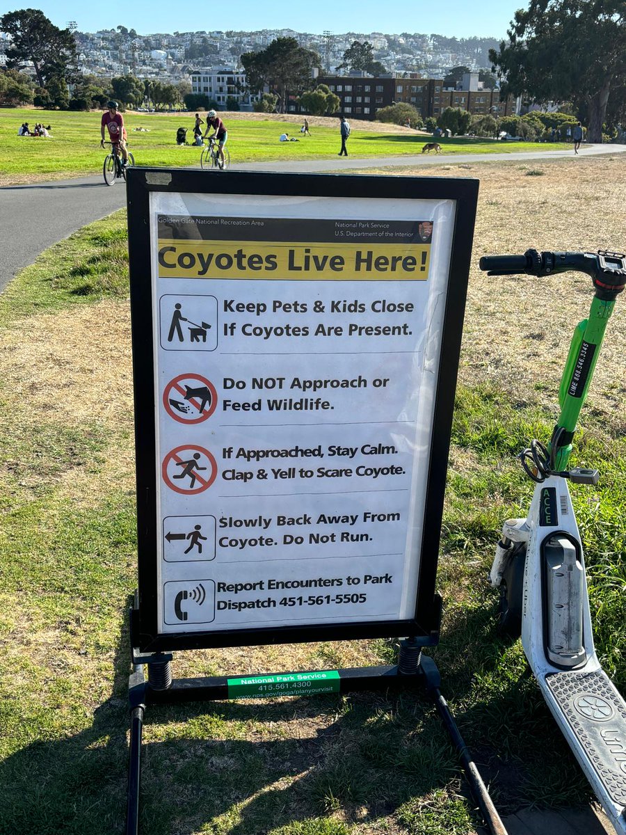 Zo doen ze dat in San Francisco. 
Vertaal en vervang 'coyote' door 'wolf'.