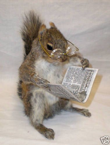 odiestarvvs's tweet photo. Me opening up edtwt first thing after making coffee as if its my morning paper https://t.co/FmtBF6Hehq