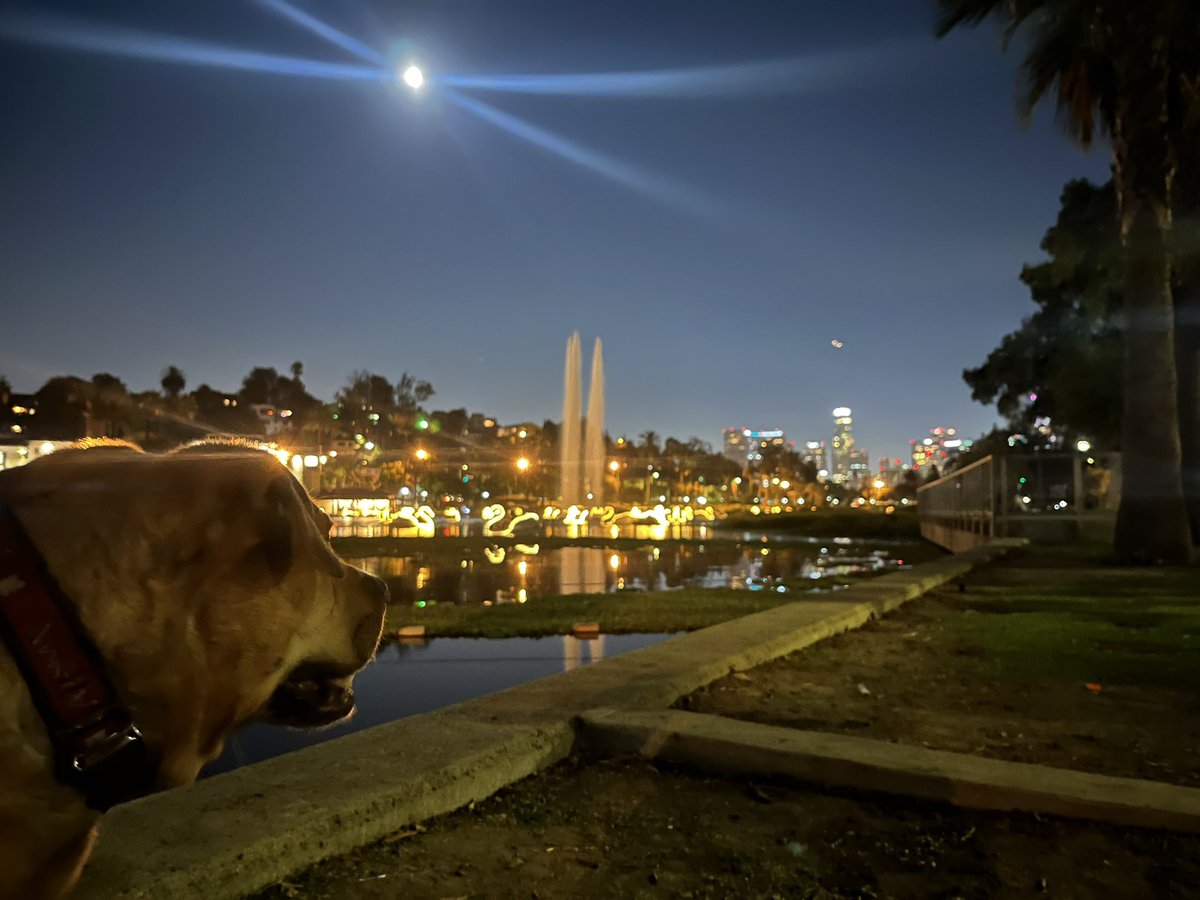 Desmond Shaw tweet media