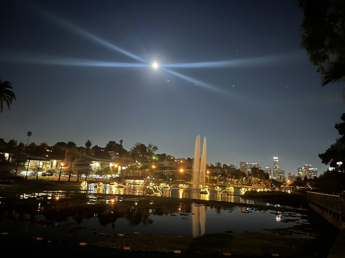 Desmond Shaw tweet media