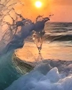 Marina Kelly tweet media