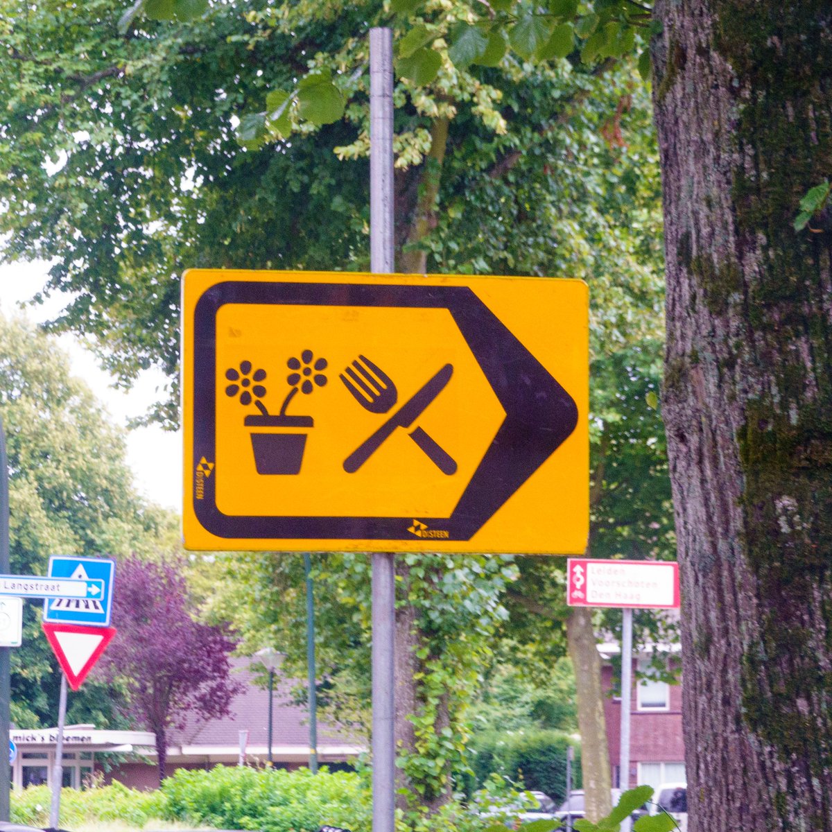 #straatjutten 4814. Bijzondere omleiding in Wassenaar: geen straatnamen, maar pictogrammen. Voor planten en bestek tijdelijk rechtsaf?

#Ideeënstarter: vervang tekst door beeld 

Lezing of Workshop Straatjutten: shorturl.at/BDJ89