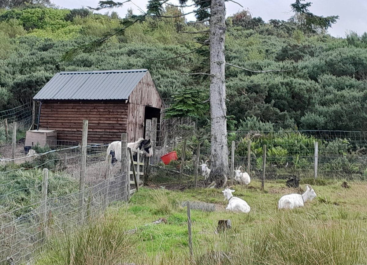 LorneOban's tweet photo. Our @ScottishLandCom land focus briefing on access to land for small-scale ownership, management, and use, can be found in the link below. An important work stream for diversification of ownership, equality of opportunity, and public &amp; community benefit. 
https://t.co/QzGLb0mFBZ https://t.co/qHJpMTT21B