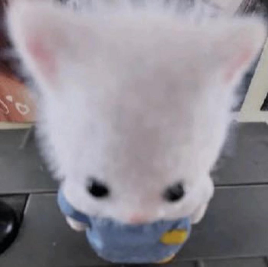 quando me aproximo pra ganhar um beijinho na testa