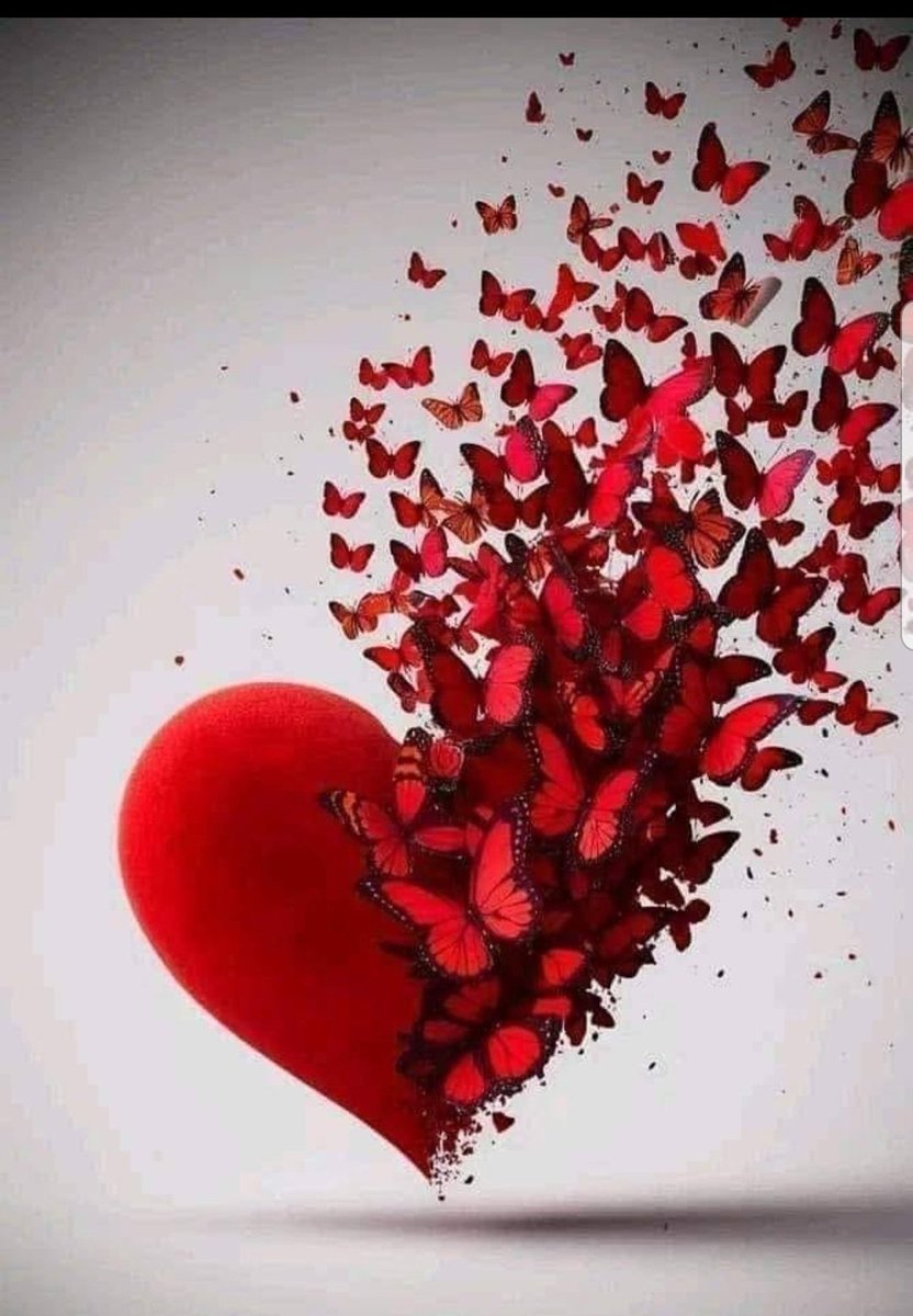 fNd1more's tweet photo. ... ♥️

Bastan Baslamaktan Korkma...

Belki de yeni Hikayeni
Eskisinden çok 

"Seveceksin" ...  ❤ https://t.co/gYhiAtxJgO