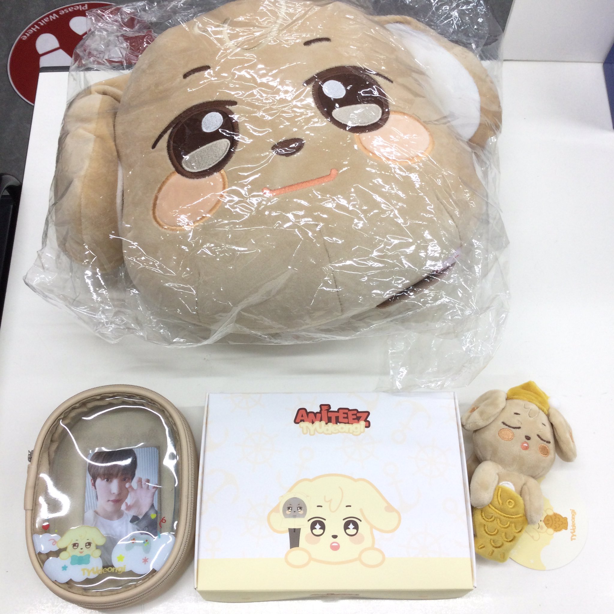 新品未使用】ATEEZ ANITEEZソンファ 脱がせる ペンライトカバー