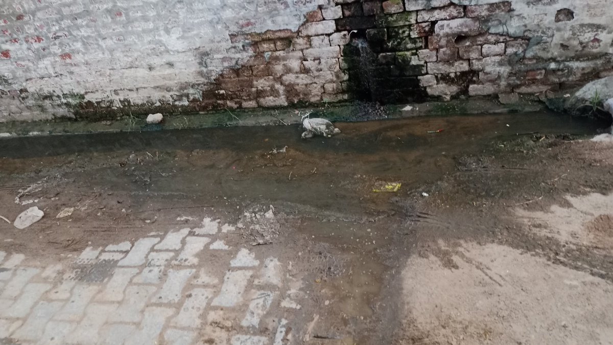 p13singh's tweet photo. Bijawa gaon me koi saaf safayi nahi hoti hai.. Sarpanch bass apni gali me safayi karwata hai ..
@cmohry @DiprHaryana @dcpanipat @Balbir_MLA
Bijawa Israna Panipat Kripya ispe dhyan den.. https://t.co/1j53t86YHW