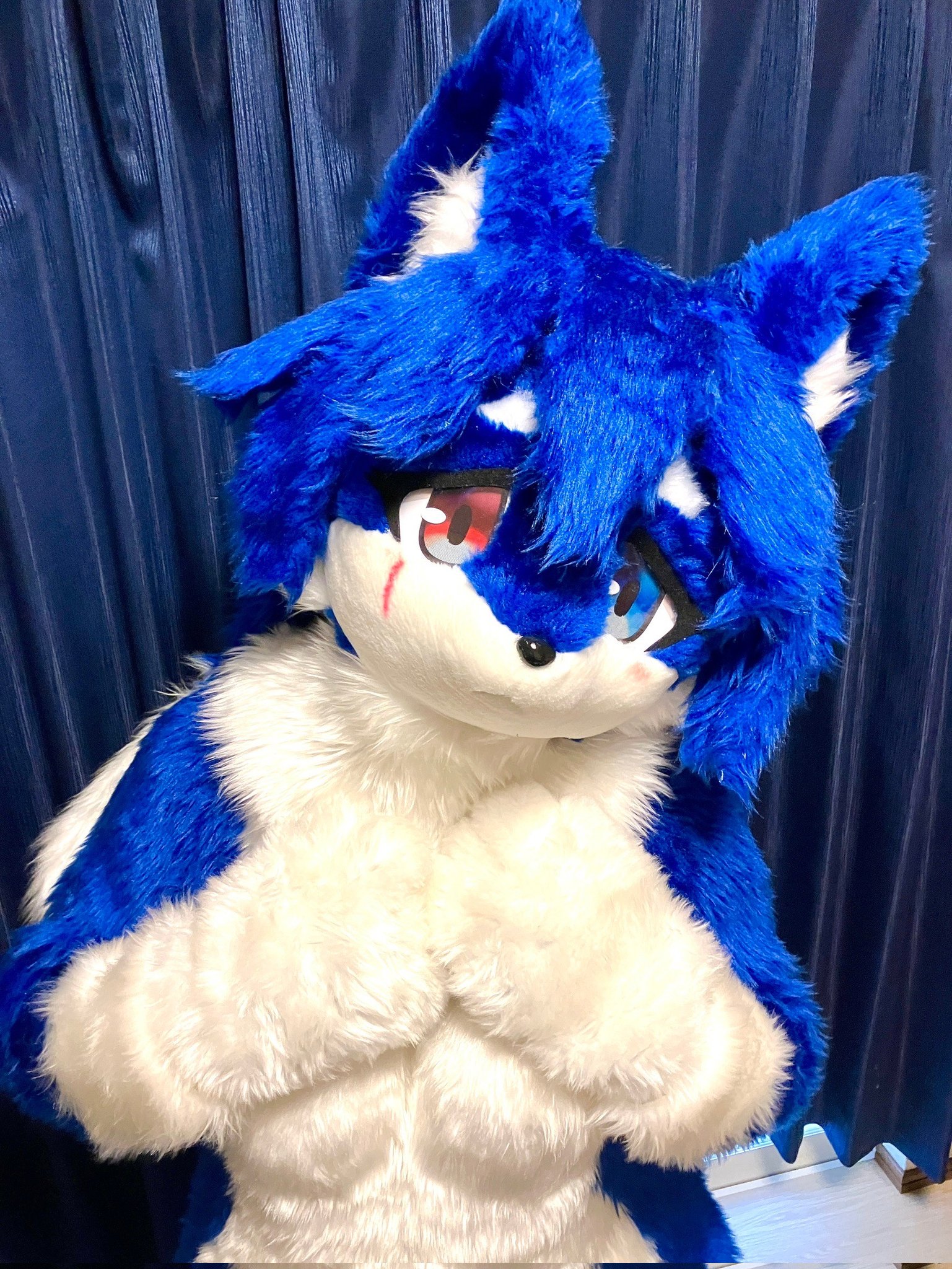 Fancy Fur Pierrot (@FancyFurPierrot) / X Fancy Fur Pierrot (@FancyFurPierrot) / X