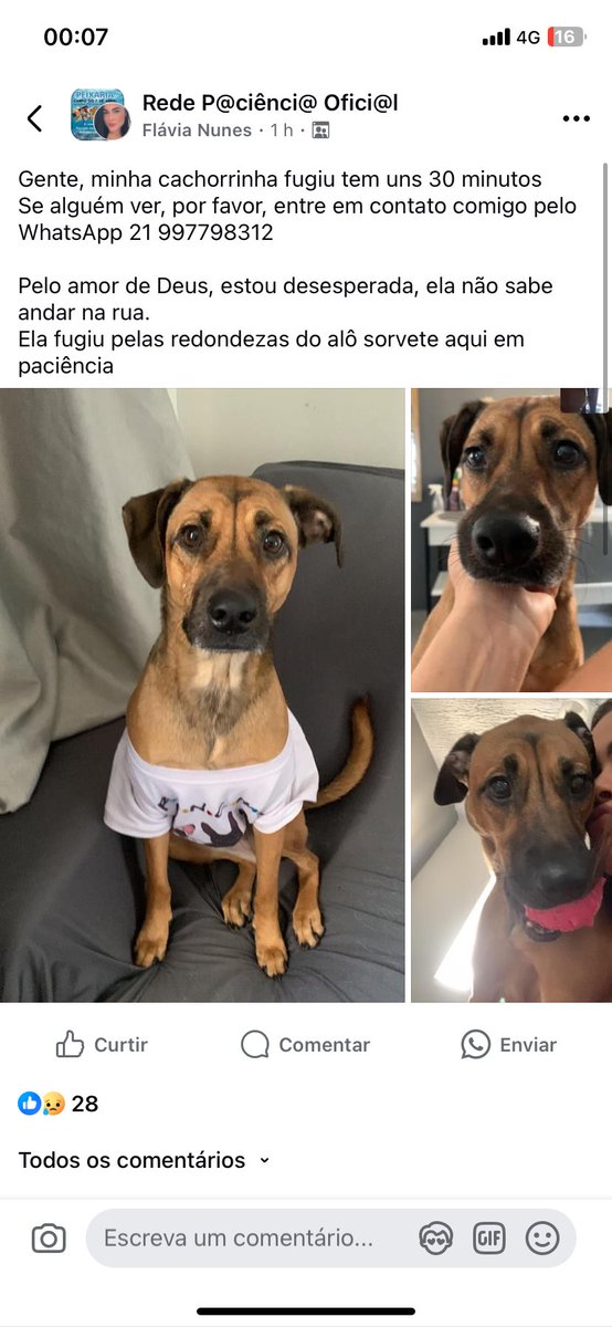 soldedezz's tweet photo. Pessoal de PACIÊNCIA, 7 DE ABRIL, TRÊS PONTES, CESARINHO, ANTARES, SANTA CRUZ 
POR FAVOR, gente, ESTOU DESESPERADA. Minha cachorra fugiu, ela é porte médio, vira lata, pelagem marrom, fugiu ontem 18/08 por volta de 21:30h. QUALQUER INFORMAÇÃO 997798312 https://t.co/8xCFGNeXC3