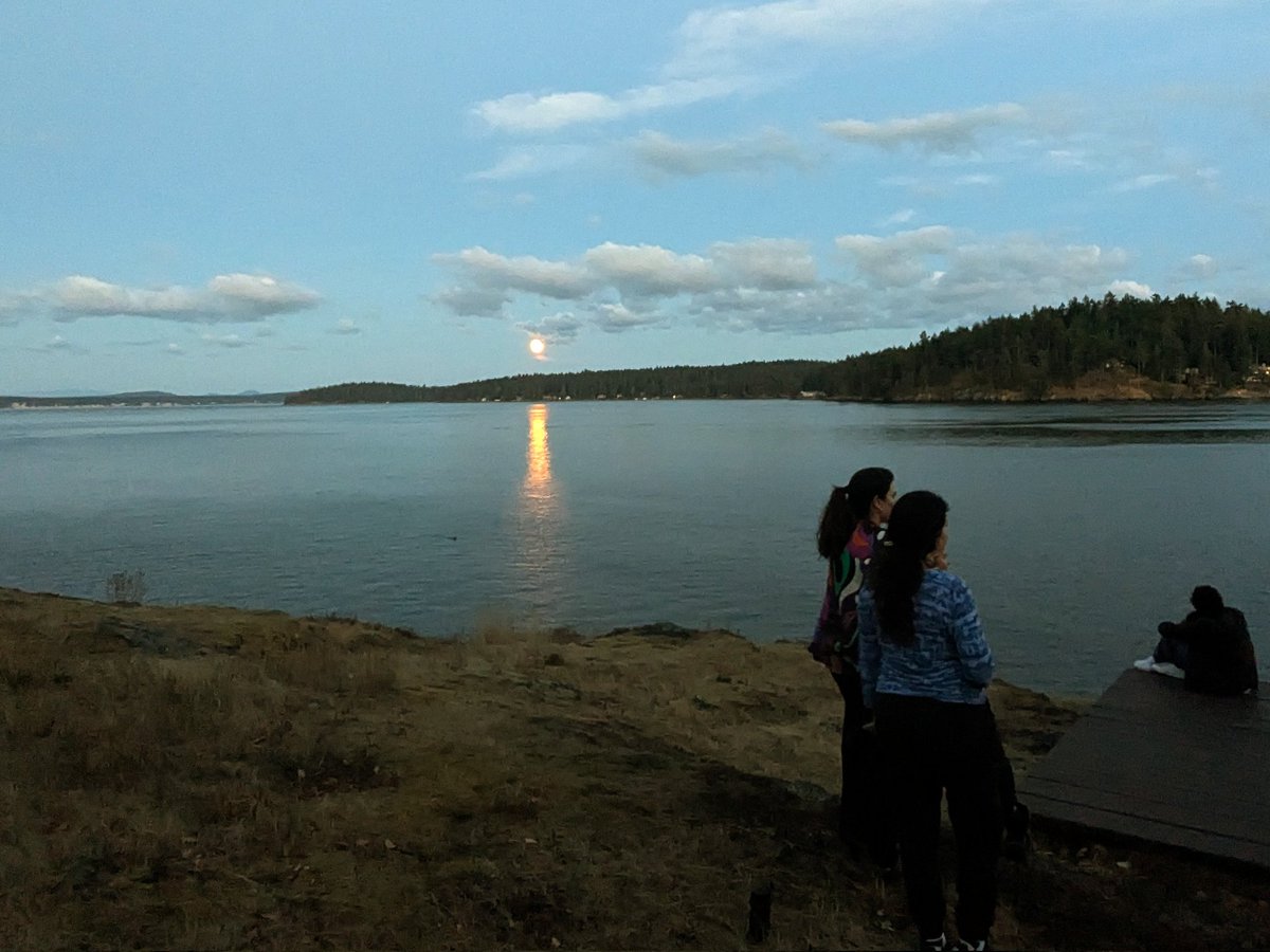 Scott Sterrett tweet media